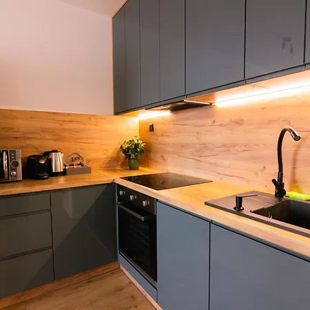 Near Center דירה קושיצה